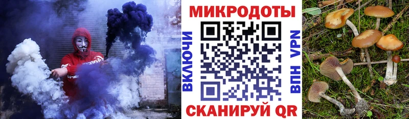 Псилоцибиновые грибы Cubensis купить Новоалтайск